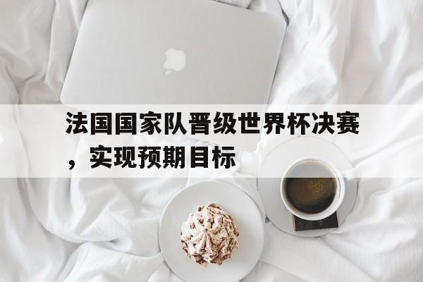 法国国家队晋级世界杯决赛，实现预期目标的简单介绍